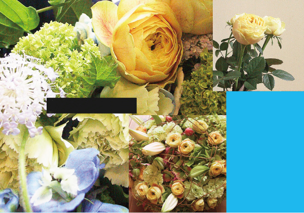 バラ・レモンラナンキュラ