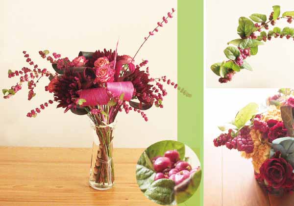 シンフォリカルポス・チハヤパープル